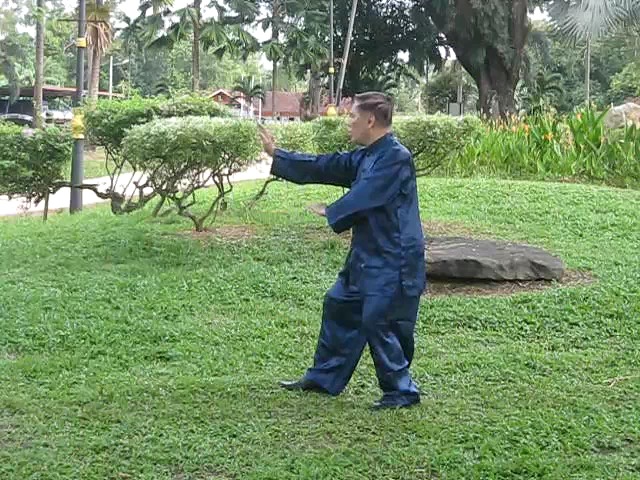 Wu Yu Xiang Style Taijiquan